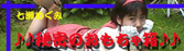 �閧�̂������ᔠ